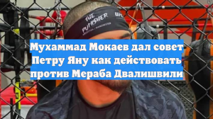 Мухаммад Мокаев дал совет Петру Яну как действовать против Мераба Двалишвили