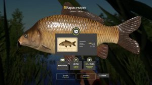 Русская Рыбалка 4 Трофей (Карасекарп) оз. Медное