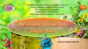 Час полезных советов «Целебные растения вокруг нас»