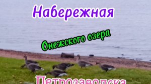 Набережная в Петрозаводске