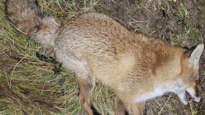 не разминулись..