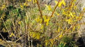 5 АРХИВ.Дача.09.05.20.Отдыхаем 😂замачиваю картофель в Максиме