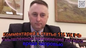 Комментарий к статье 115 УК РФ Умышленное причинение легкого вреда здоровью
