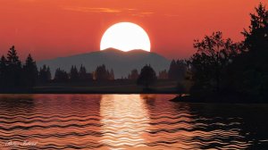 🌿 ОЧЕНЬ КРАСИВАЯ МУЗЫКА ДЛЯ ДУШИ И ЗВУКИ ПРИРОДЫ 🎵 УСПОКАИВАЮЩАЯ МУЗЫКА ДЛЯ СНА СЛУШАТЬ ОНЛАЙН