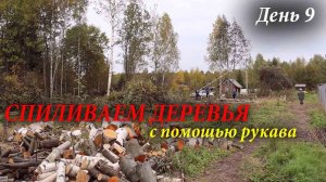 #8 Купили Заброшенный дачный участок / Спиливание опасных деревьев / Сжигание веток / Дача с нуля