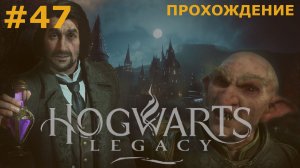 ИГРАЕМ В HOGWARTS: LEGACY| #47 ГРОБНИЦА ПРОКЛЯТЫХ + ФЕНИКС