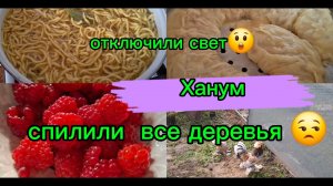 13-11-2025 Переезд из Сибири на юг /Света нет/Планы поменялись/Ханум/ Почему не дают свет.../