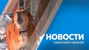 КОРОТКИЕ НОВОСТИ 13.11.25