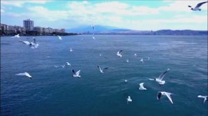 Yulevna -      Я так хочу услышать голос твой