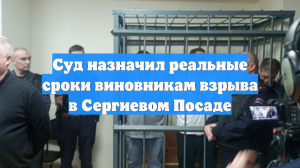Суд назначил реальные сроки виновникам взрыва в Сергиевом Посаде