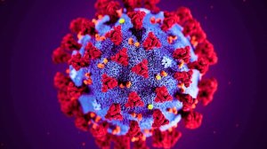 Был ли «всплеск COVID» на самом деле HERV-K — человеческим белком, ошибочно принятым за вирус?