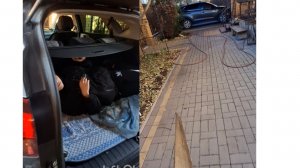 Камуфляж От ЗЛОГО СОСЕДА!