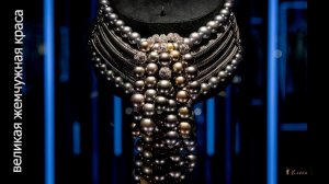 Великая    ЖЕМЧУЖНАЯ КРАСА   *