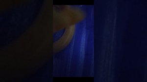 Щенячий патруль, 🐕