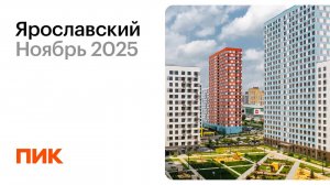 Ярославский 07.11.2025