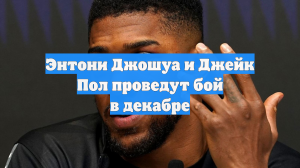 Энтони Джошуа и Джейк Пол проведут бой в декабре