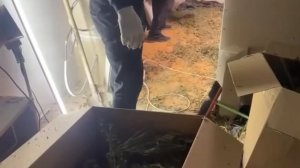 Крупная партия наркотиков изъята у жителя Красноярского края