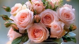 поздравления с днем рождения женщине открытки