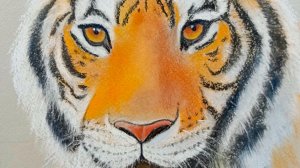 Портрет тигра