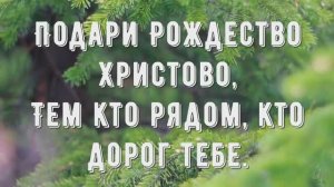 Подари Рождество - минус мой 1