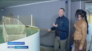 Вести. Ставропольский край» 13.11.2025 (11.30)