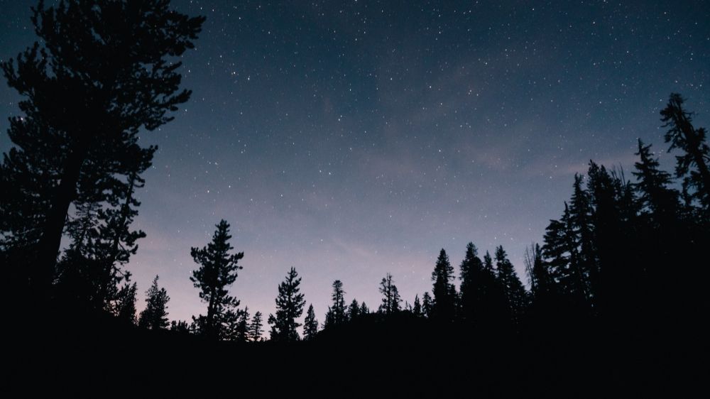 Стрекотание сверчков • Умиротворяющие Звуки Природы • naomix.ru смотреть онлайн