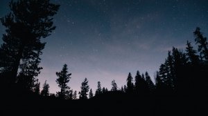 Стрекотание сверчков • Умиротворяющие Звуки Природы • naomix.ru