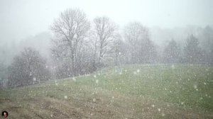 Не оставайся здесь ночью. Страшные. Мистические. Творческие истории. Хоррор