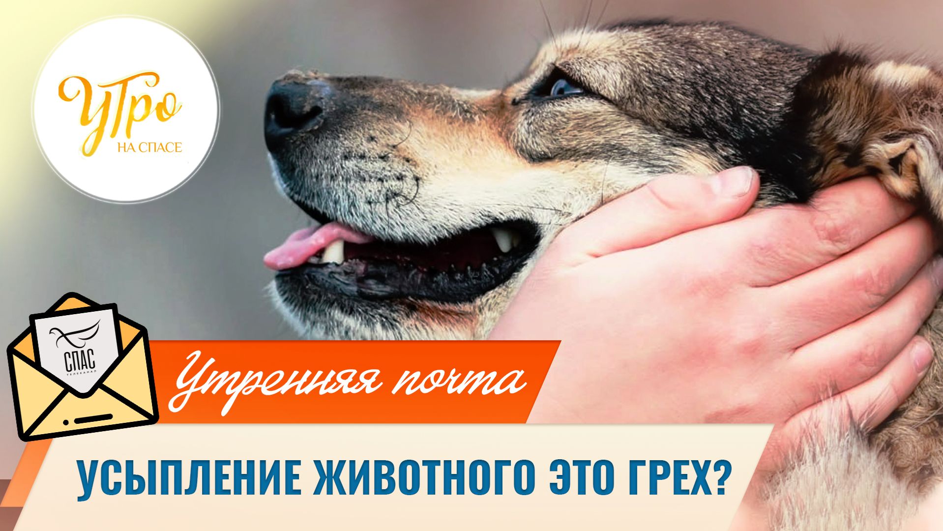 Усыпление животного это грех? / Утренняя почта