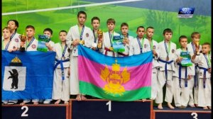 Четырехкратным победителем  по тхэквондо стал юный спортсмен из Туапсинского округа.