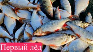 ПЕРВЫЙ ЛЁД! ЗИМНЯЯ РЫБАЛКА НА МОТЫЛЬ. ЖОР БЕЛОЙ РЫБЫ НА МОРМЫШКУ.