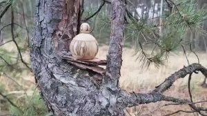 шкатулка в ноябрьском лесу с мухоморами