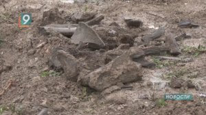 «Оскольские мамонты»: в селе Нагольном обнаружены останки доисторических млекопитающих