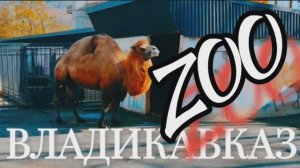 Владикавказ. Зоопарк и Водная станция.mp4
