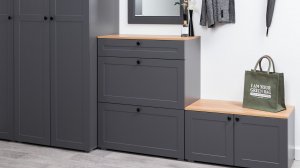 Остин Тумба для обуви 16.121 F