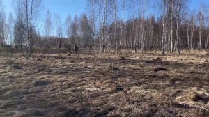 Крутой коп получился. Находок тьма