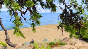 Экспедиция на Маломорский рыбзавод на Ольхоне {ГУЛаг}.