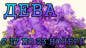 ДЕВА таро прогноз на неделю с 17 по 23 НОЯБРЯ 2025 года.