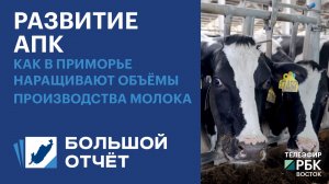 Развитие АПК: как в Приморье наращивают объёмы производства молока