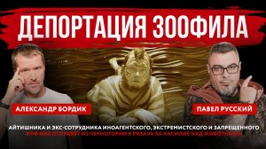 Депортация зоофила. Айтишника отправят из Черногории в Рязань за насилие над животными