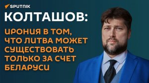 Колташов: Ирония в том, что Литва может существовать только за счет Беларуси