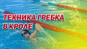 Техника гребка в кроле: как  превратить воду в опору?