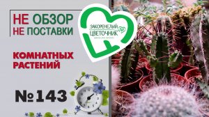 НЕ обзор НЕ поставки. Скидки, подарки, розыгрыши. Пустой цветочный магазин комнатных растений.