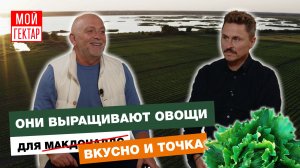 ГЛАВА БЕЛОЙ ДАЧИ | КАК ЛОМАЛИ СЕЛЬСКОЕ ХОЗЯЙСТВО В 90-Е | ПОСТАВЩИК МАКДОНАЛДС | ЗАКОНЫ ВЛАСТИ