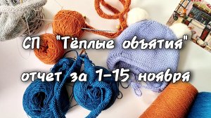 СП "Тёплые объятия" Отчёт с 1 по 15 ноября