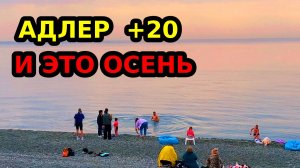 АДЛЕР | + 20 В НОЯБРЕ | ТАКУЮ ОСЕНЬ Я НЕ ВИДЕЛ ДАВНО | МАНДАРИН | ЧАЙКА | ЮВ |ЛАЗУРЬ ОГОНЕК