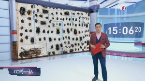 Московские таможенники обнаружили в посылках 200 экзотических жуков