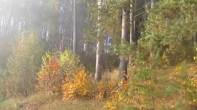 Станет лучше   Автор и музыка Александр Курган поёт Евгений Сурский online video cutter com смотреть онлайн