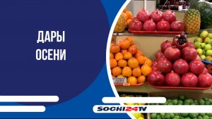 Дары осени: что почем на Центральном рынке Сочи