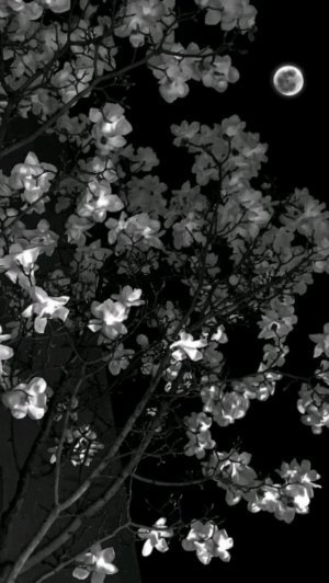 приветик 🎀